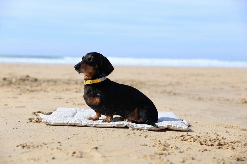 Tweed Dog Crate Mat