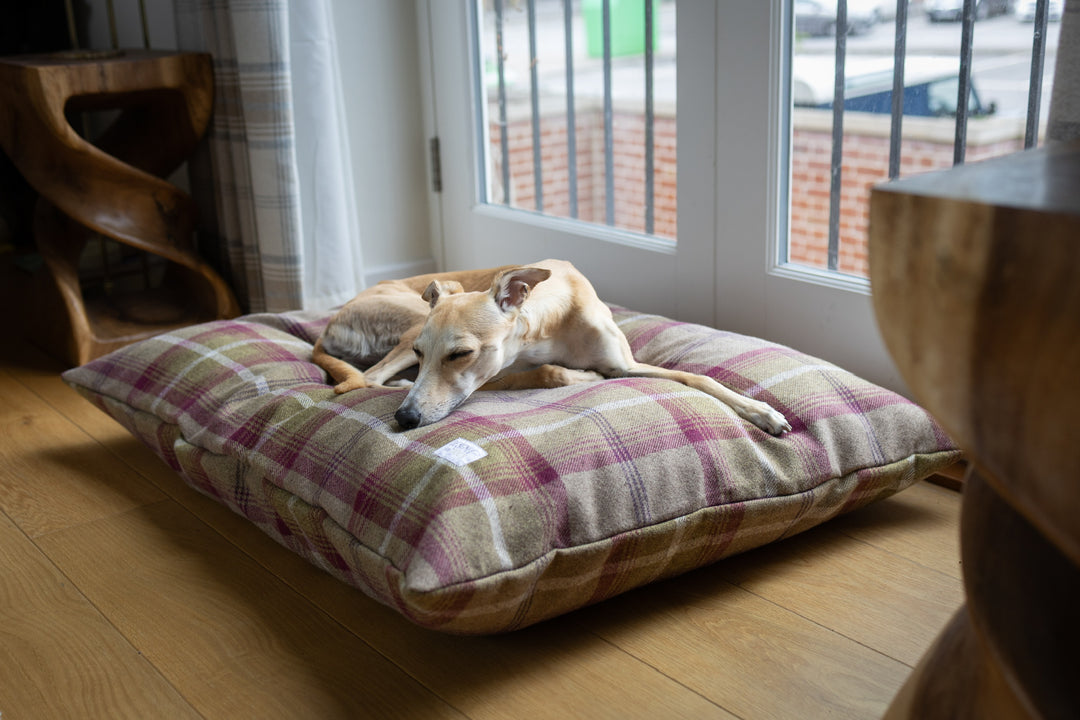 Heather Tartan Pillow Dog Beds