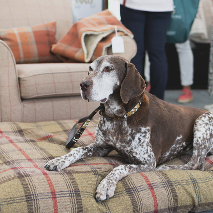 Hunter Tartan Mattress Bed