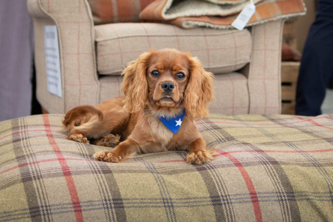 Hunter Tartan Mattress Bed