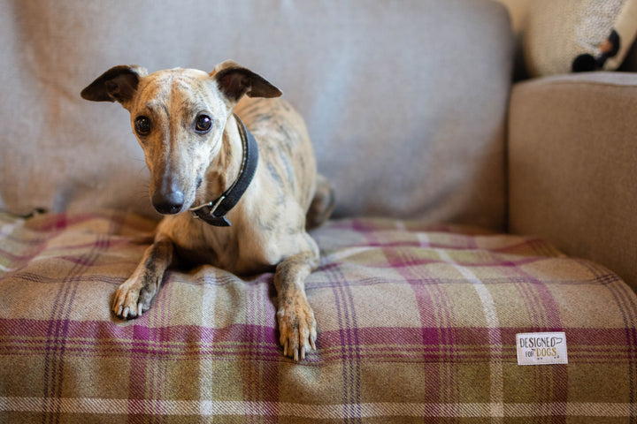 Heather Tartan Blankets