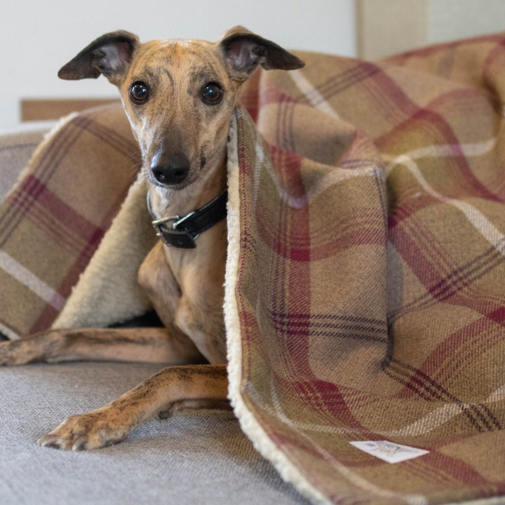 Heather Tartan Blankets