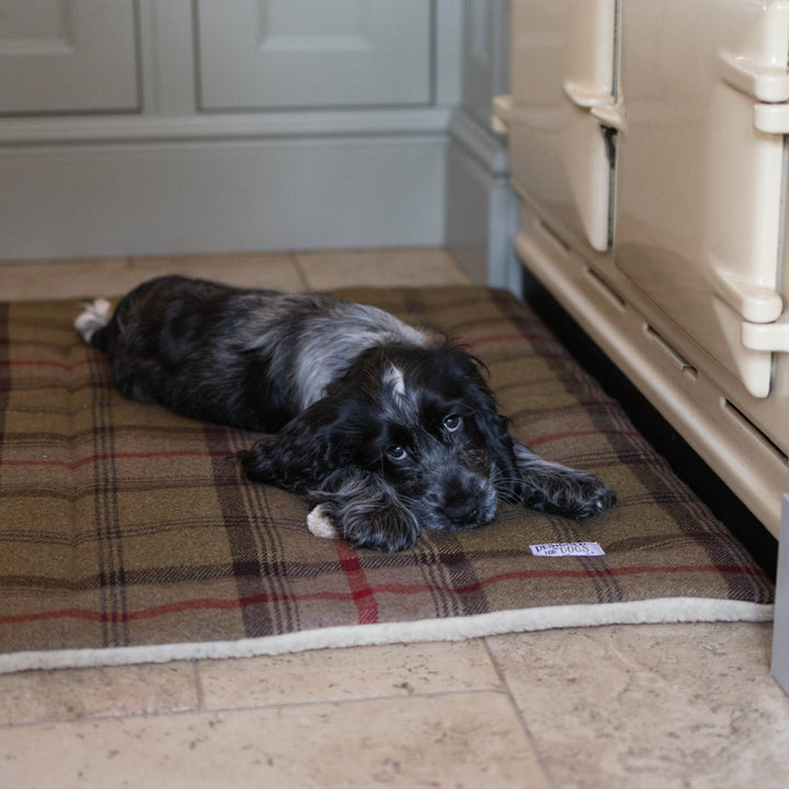 Hunter Tartan Mats