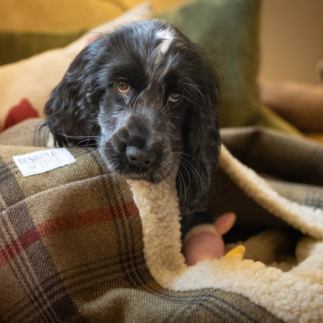 Hunter Tartan Snuggle Sacks