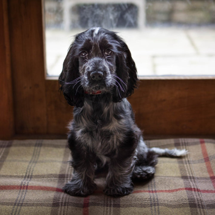 Hunter Tartan Blankets