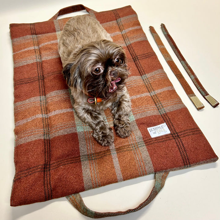 Medium Picnic Pads