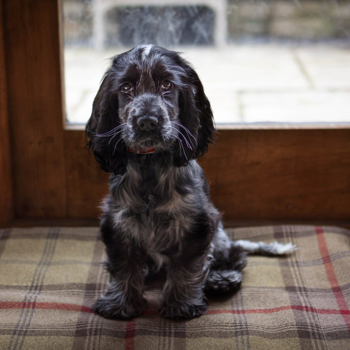 Hunter Tartan Mats