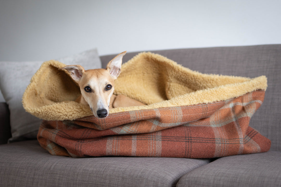 Warm Spice Tartan Snuggle Sacks