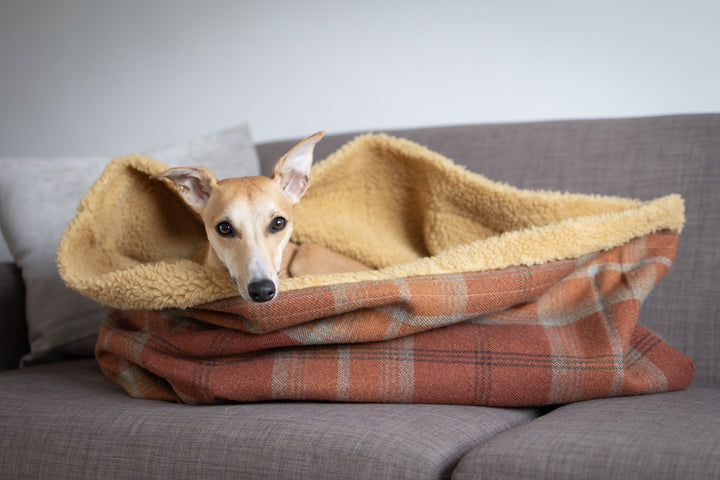 Warm Spice Tartan Snuggle Sacks