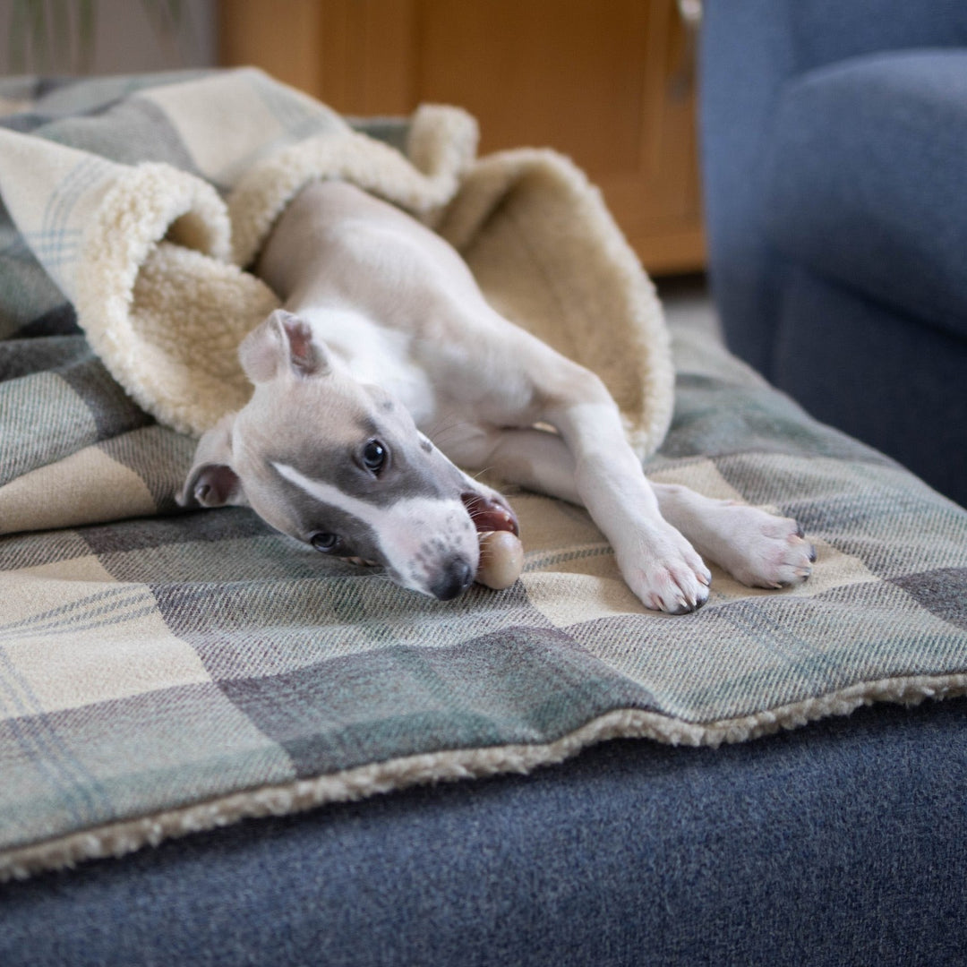 Farmhouse Tartan Blankets
