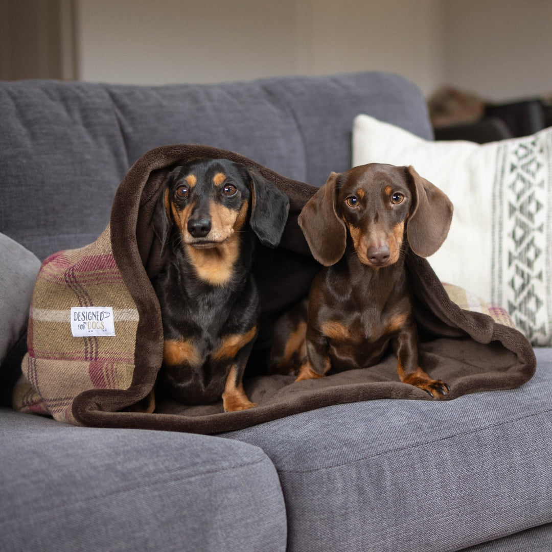 Heather Tartan Snuggle Sacks