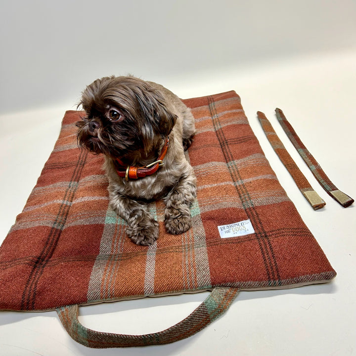 Warm Spice Tartan Picnic Pads