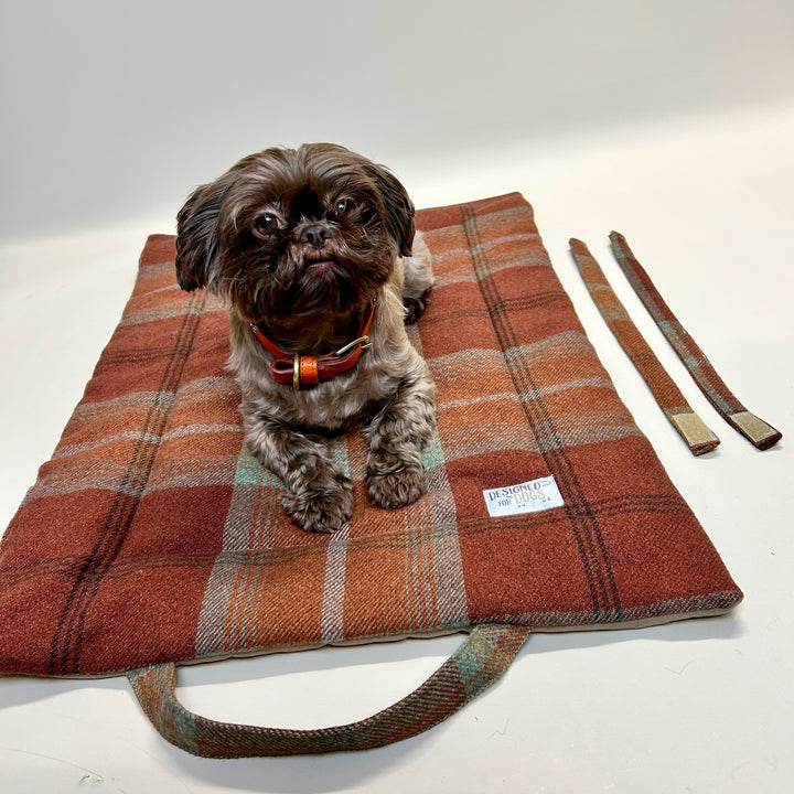 Warm Spice Tartan Picnic Pads