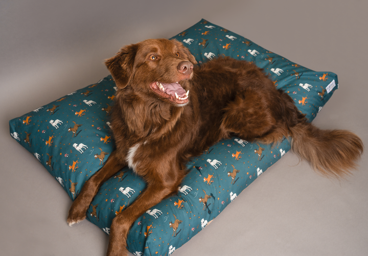 Emily Cole Mattress Beds