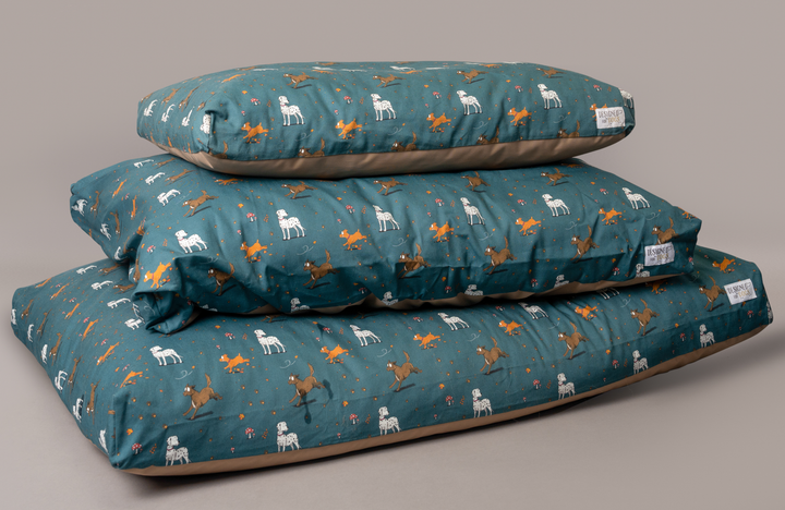 Emily Cole Mattress Beds