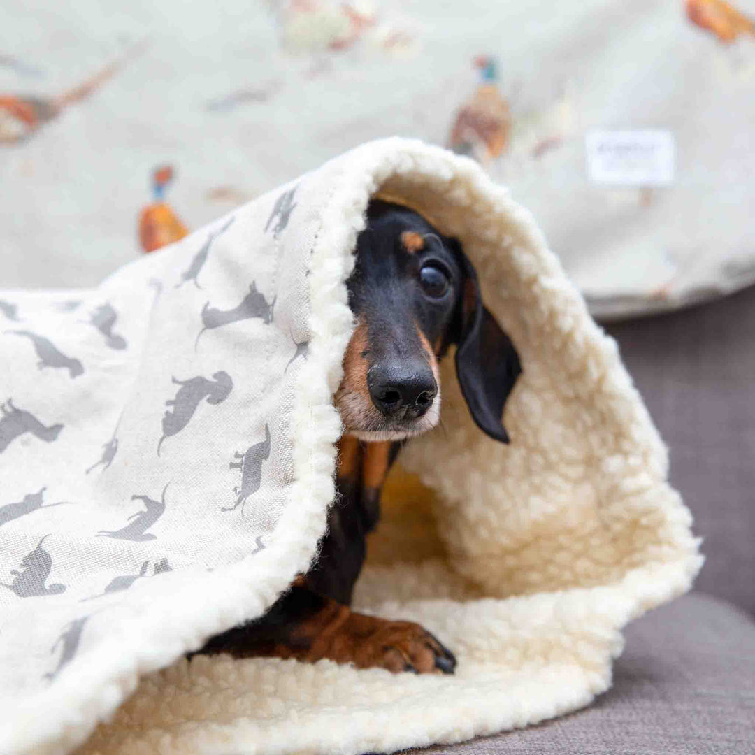 Natural Dachshund Snuggle Sacks