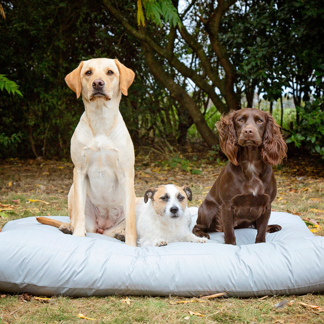 Washable & Waterproof Dog Bed Liner