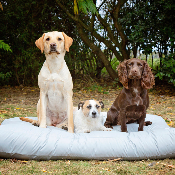 Washable & Waterproof Dog Bed Liner
