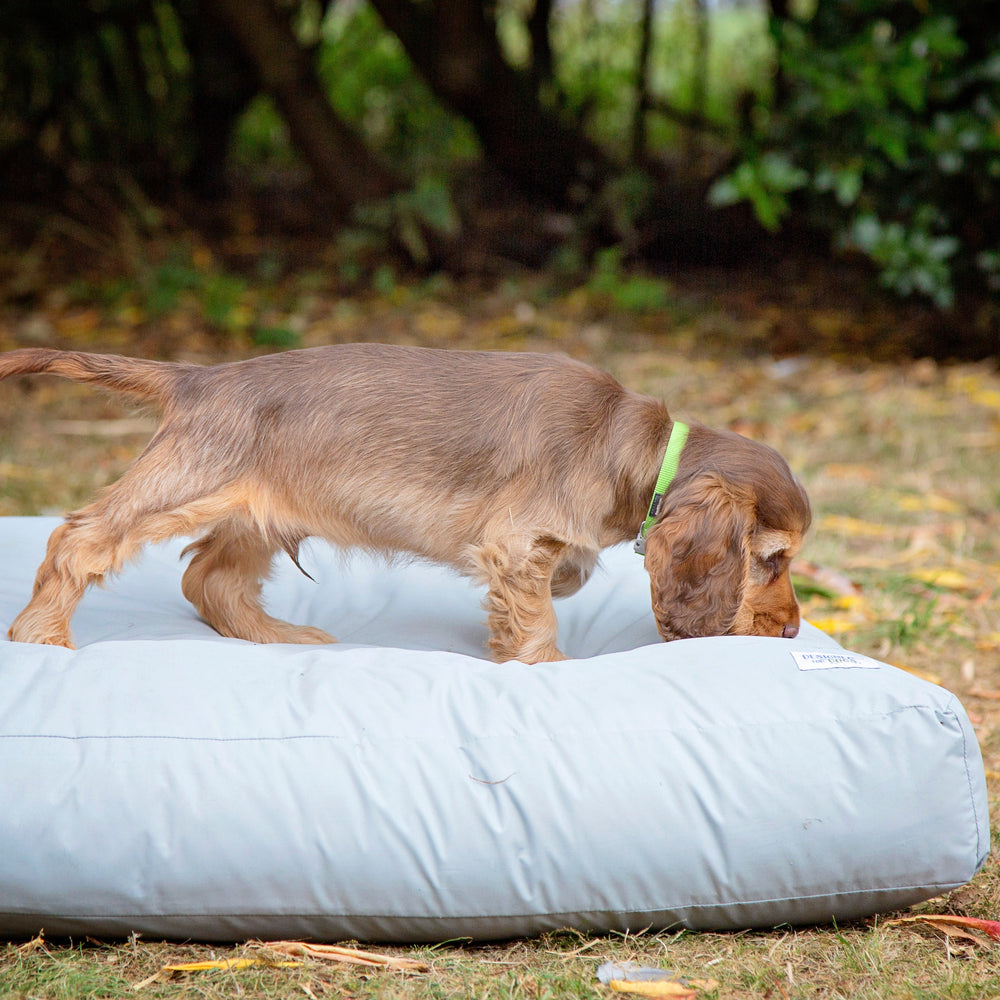 Washable & Waterproof Dog Bed Liner