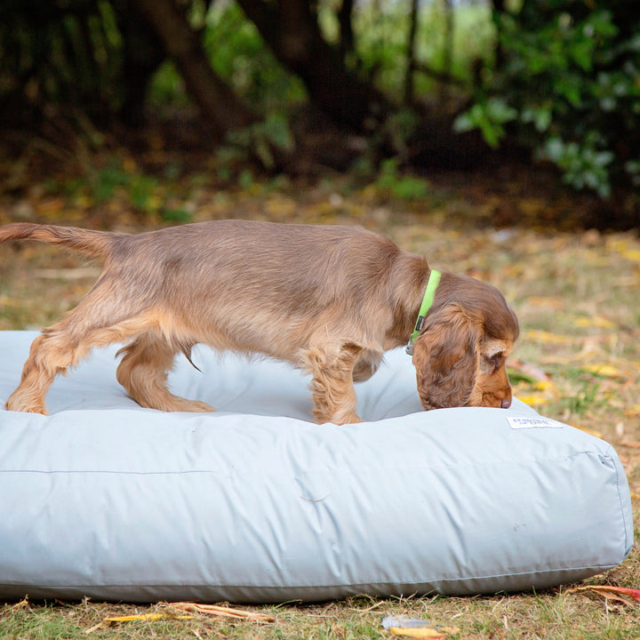 Washable & Waterproof Dog Bed Liner