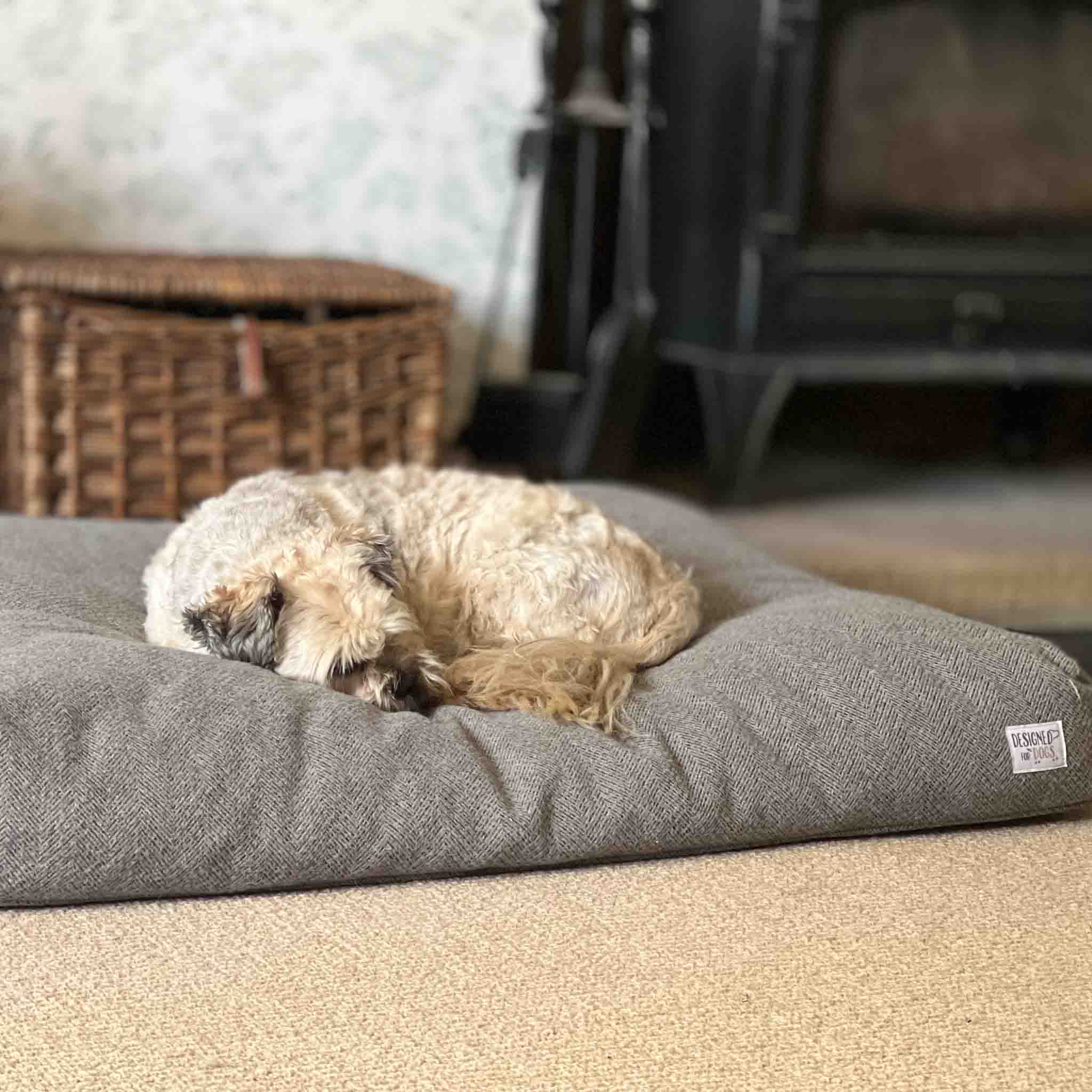 Grey best sale dog pillow