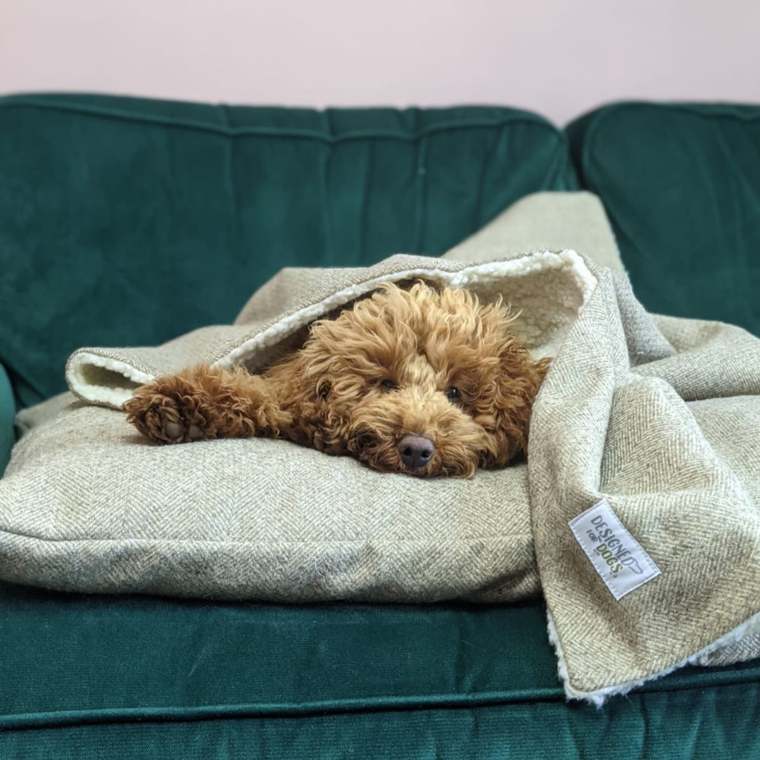 Stone Tweed Pillow Dog Beds
