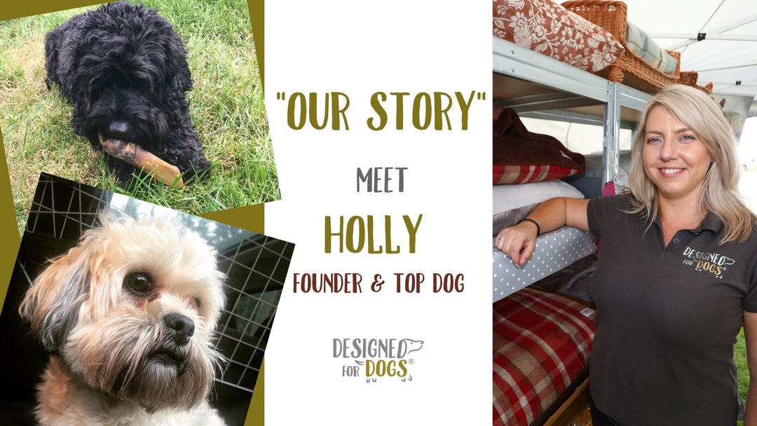 Our Story