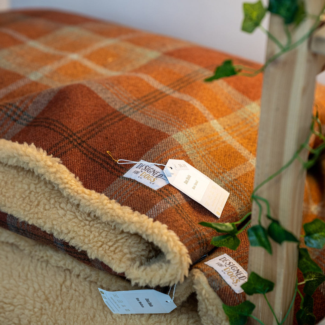 🎉 Celebrating One Year in Our New Home