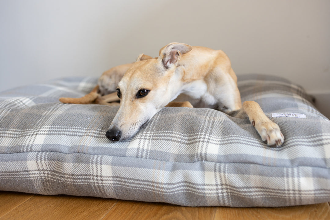Tartan Pillow Dog Beds - Grey, Farmhouse & Hunter