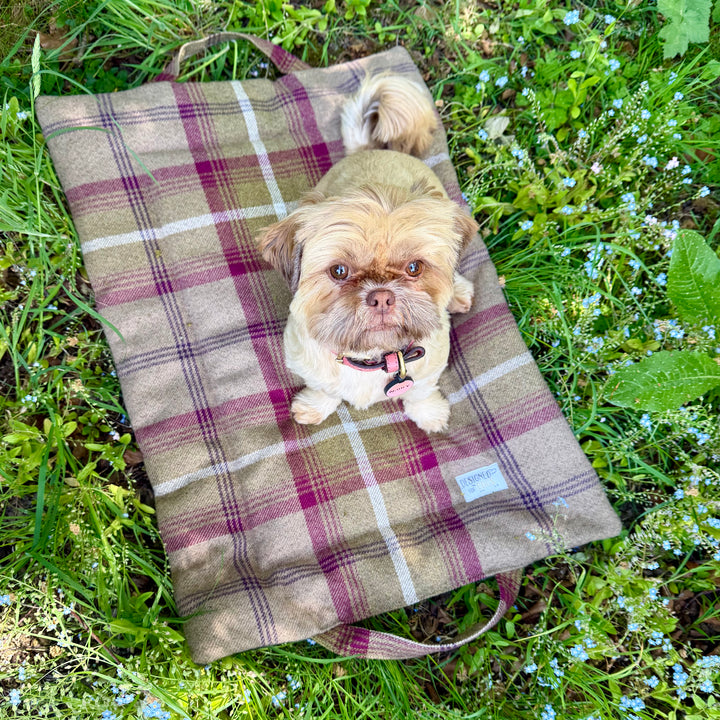 Heather Tartan Picnic Pads