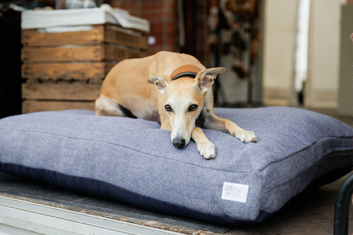 Oxford Blue Tweed Mattress Beds