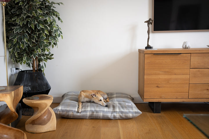 Tartan Pillow Dog Beds - Grey, Farmhouse & Hunter