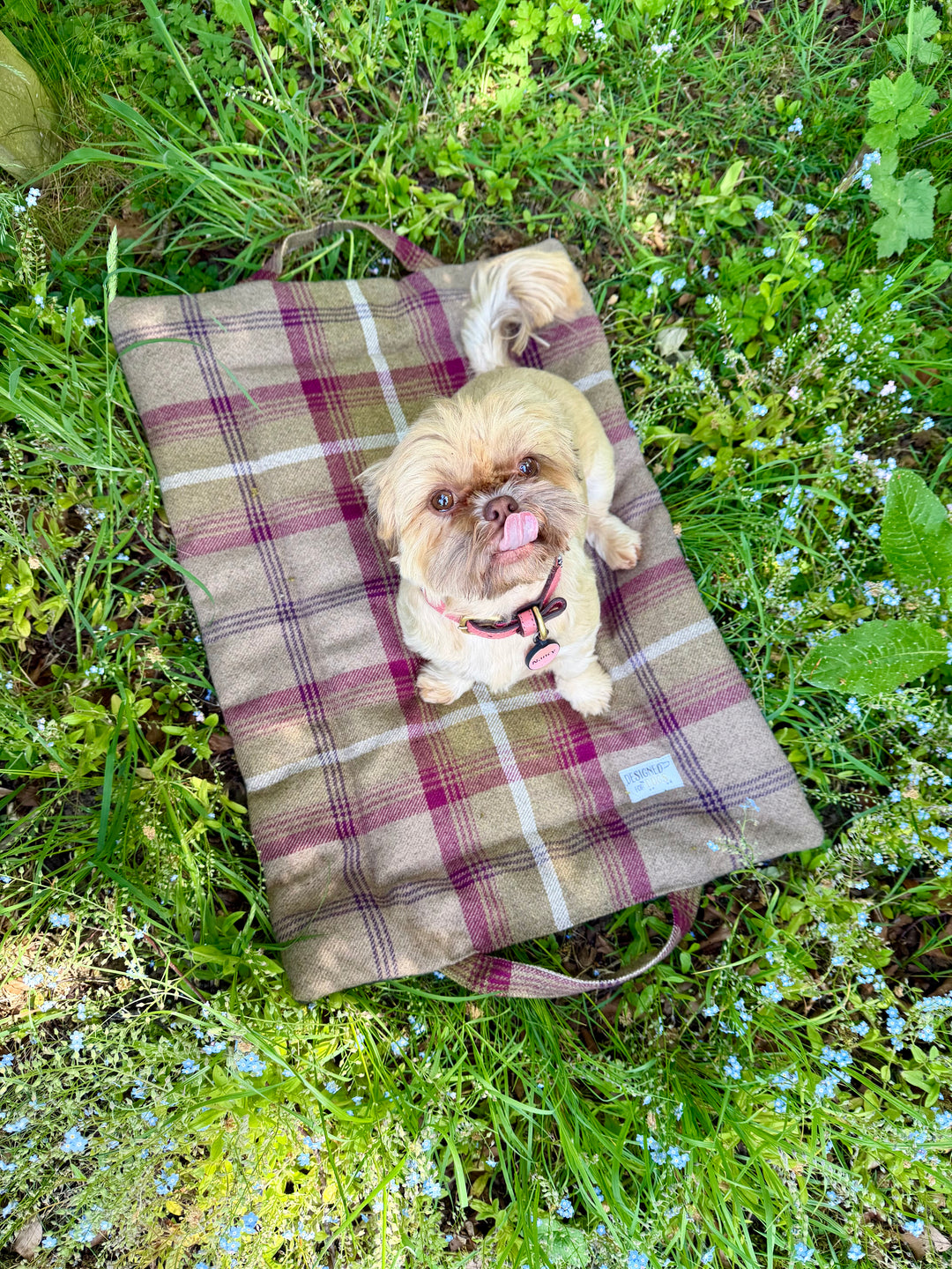 Heather Tartan Picnic Pads