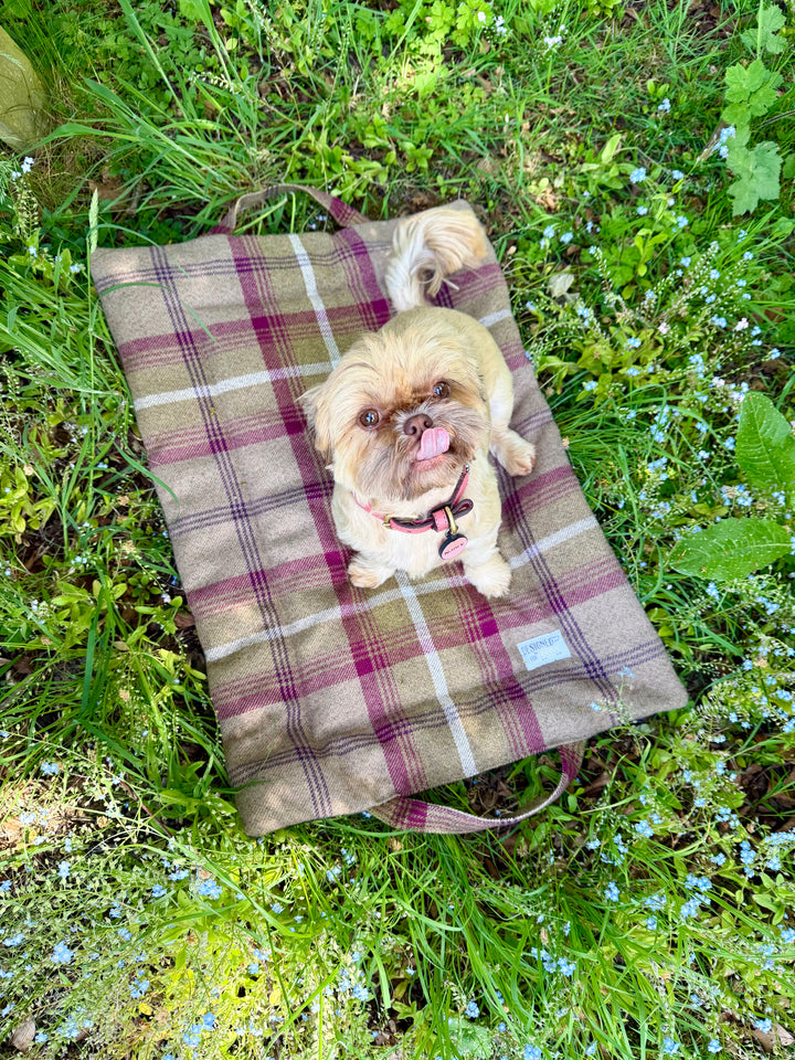 Heather Tartan Picnic Pads