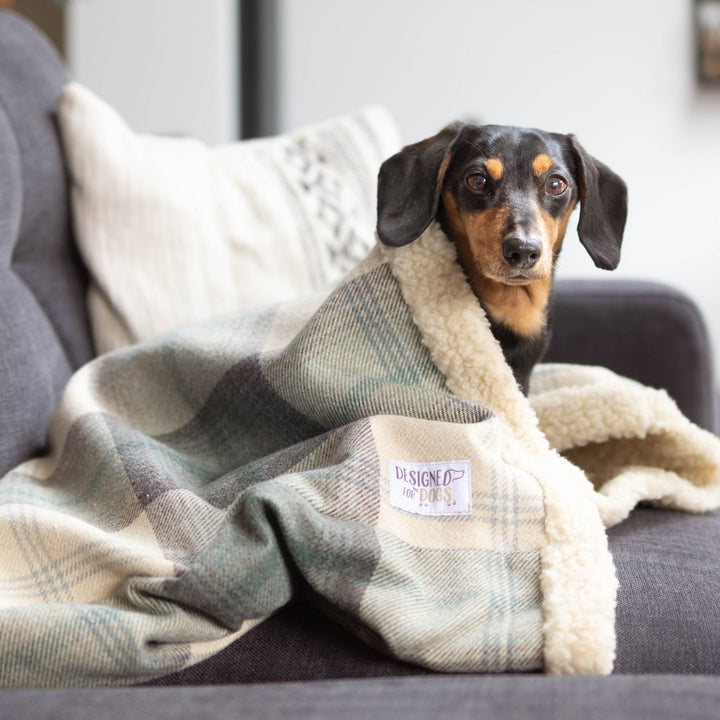 Farmhouse Tartan Snuggle Sacks