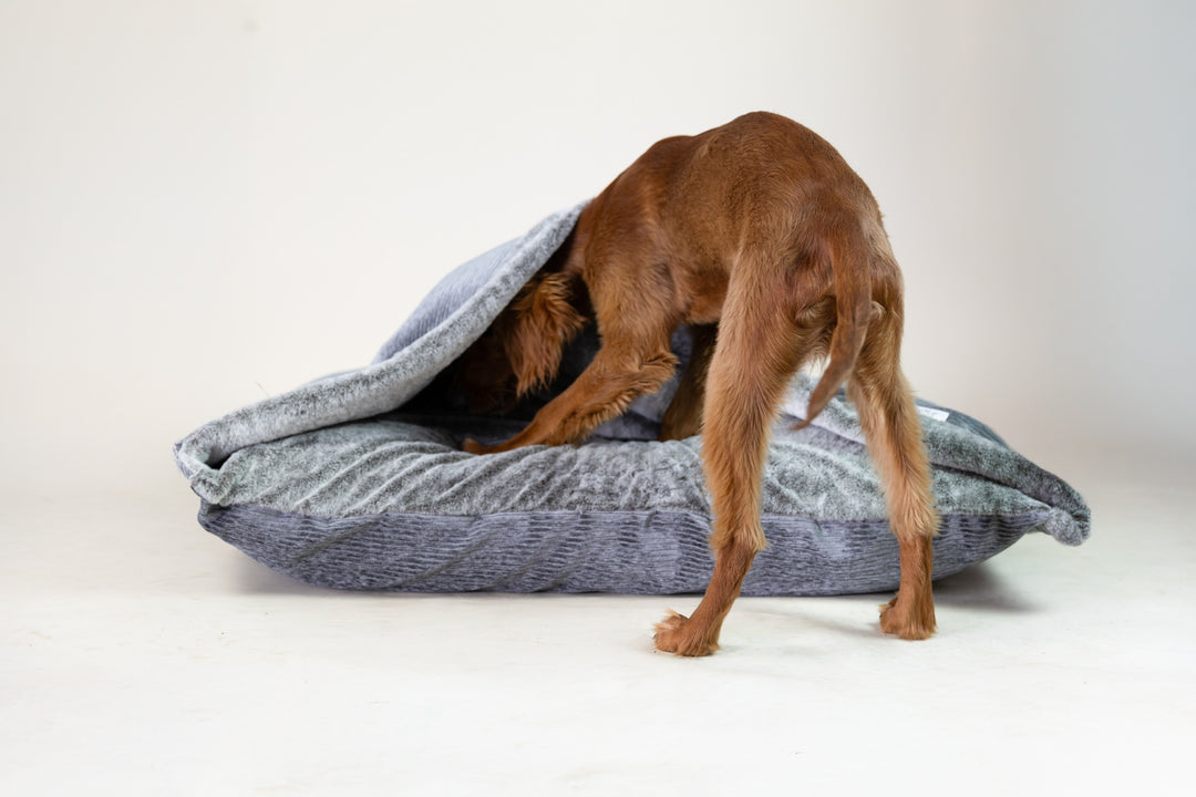 Large Doggy Den Beds