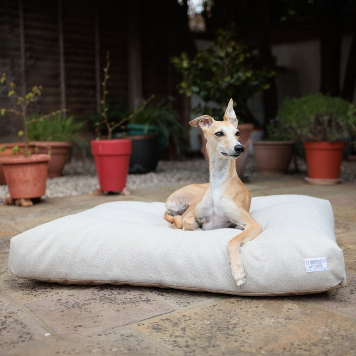 Latte Tweed Mattress Beds