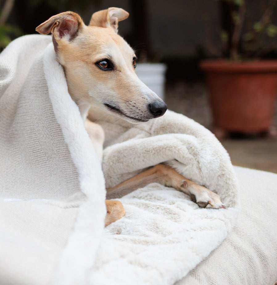 NEW: Latte Tweed Blankets