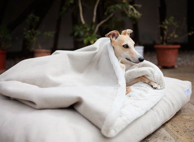 NEW: Latte Tweed Mattress Beds
