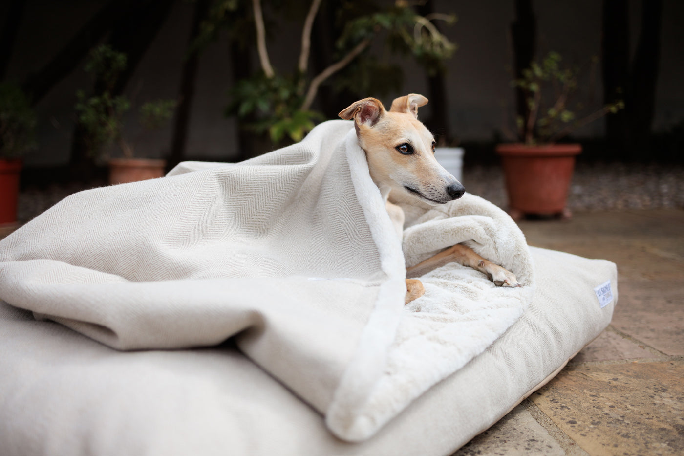 NEW: Latte Tweed Snuggle Sacks