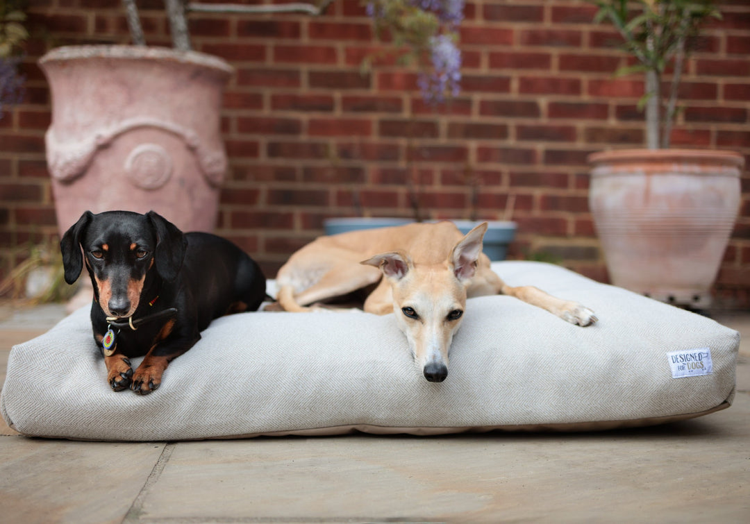 Latte Tweed Mattress Beds