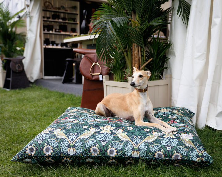 William Morris Ember Strawberry Thief Pillow Dog Beds