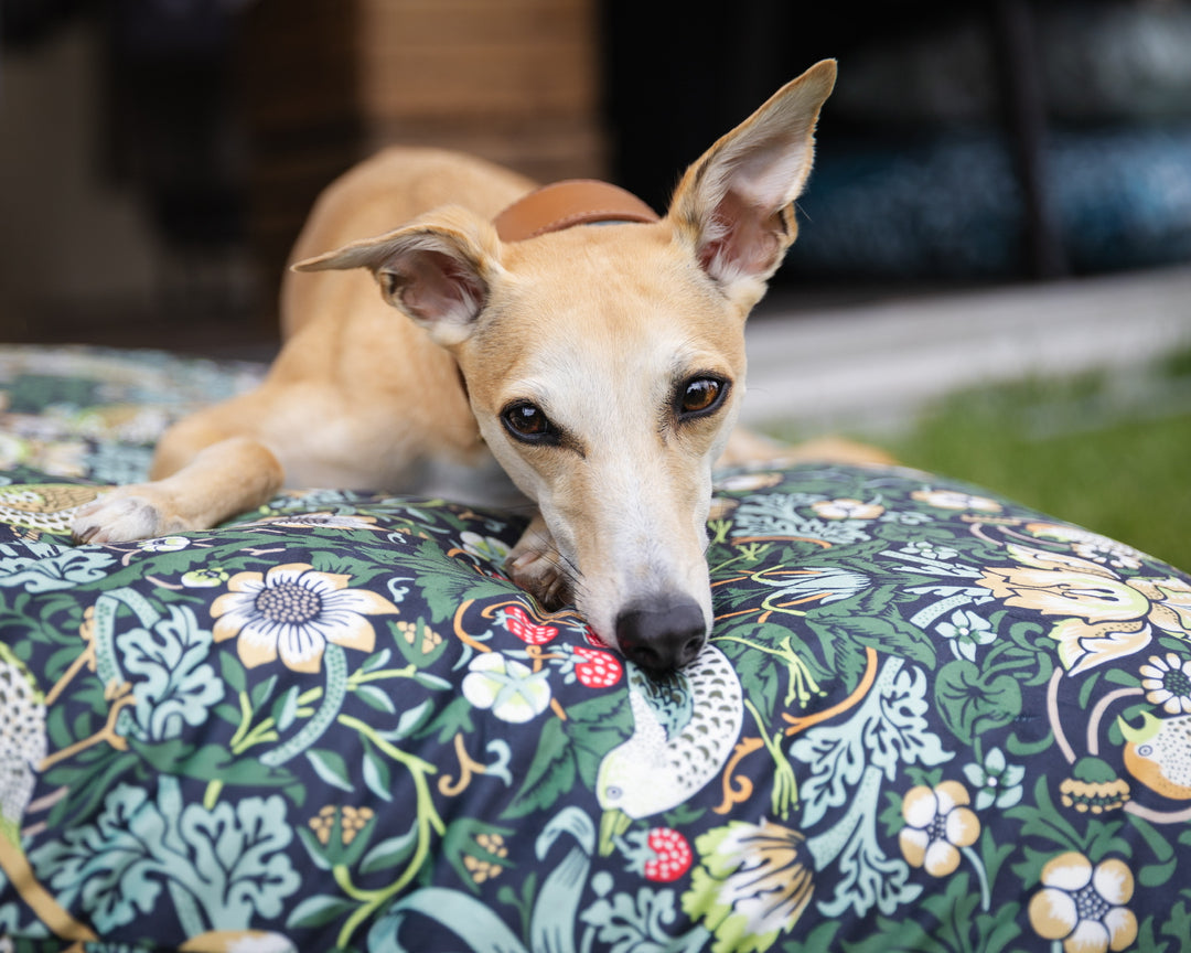 William Morris Ember Strawberry Thief Pillow Dog Beds
