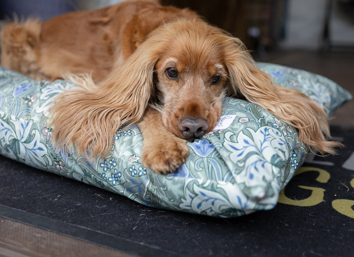 William Morris - Moss Green Golden Lily Pillow Dog Beds
