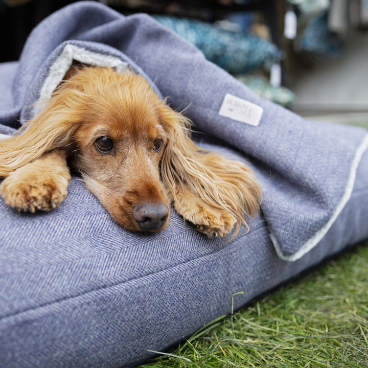 Oxford Blue Tweed Blankets