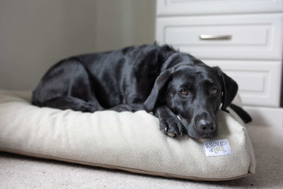 Latte Tweed Mattress Beds