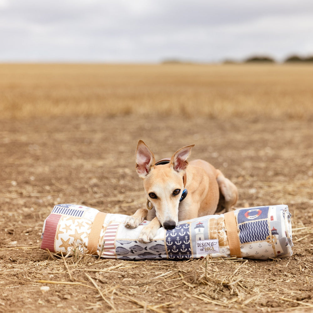 Dog lying on a rolled-up blanket in an open field