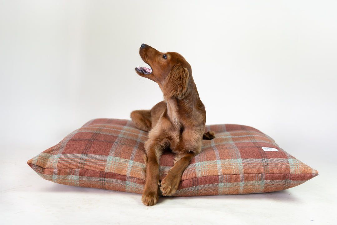 Warm Spice Tartan Pillow Dog Bed