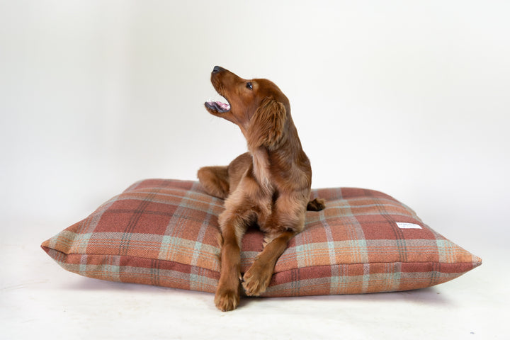 Warm Spice Tartan Pillow Dog Bed