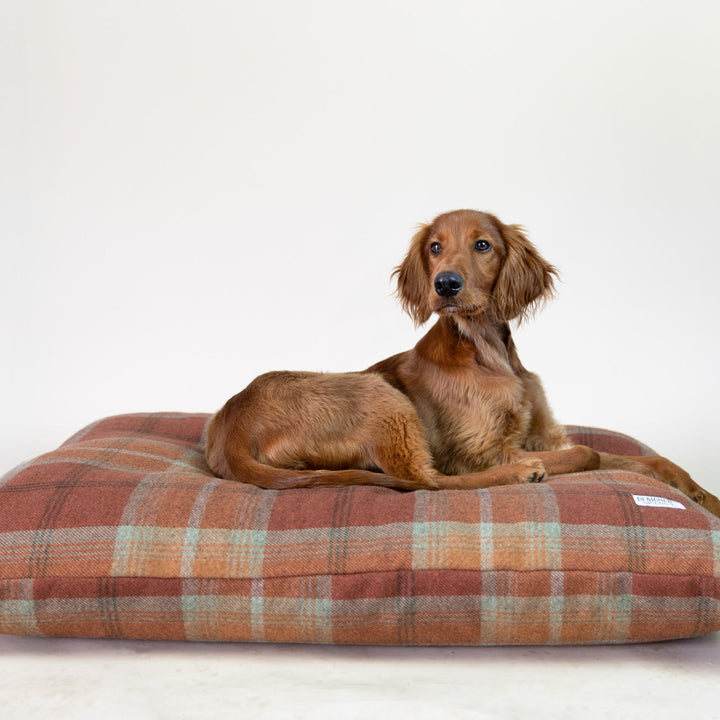 Warm Spice Tartan Pillow Dog Bed